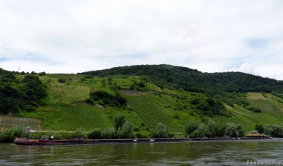 KVB-Futura-Matura-1-03-07-2016.jpg (139.38 Kio) Vu 2289 fois KVB-Futura-Matura-1-03-07-2016.jpg