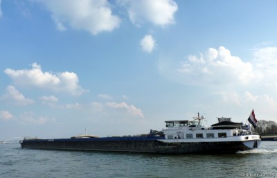 Amice-3-14-04-2016-Oosterhout.jpg (105.63 Kio) Vu 1547 fois Amice-3-14-04-2016-Oosterhout.jpg