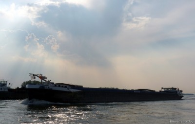 Amice-2-14-04-2016-Oosterhout.jpg (99.98 Kio) Vu 1547 fois Amice-2-14-04-2016-Oosterhout.jpg