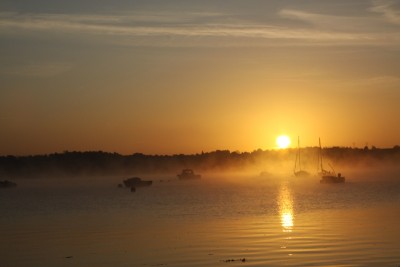 006.JPG (134.78 Kio) Vu 1059 fois 006.JPG