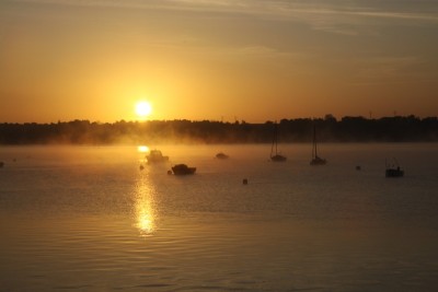 007.JPG (145.32 Kio) Vu 1059 fois 007.JPG