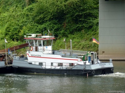 Nashorn-3-13-07-2016-St.Aldegund.jpg (278.9 Kio) Vu 1269 fois Nashorn-3-13-07-2016-St.Aldegund.jpg