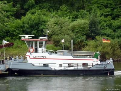 Nashorn-2-13-07-2016-St.Aldegund.jpg (298.95 Kio) Vu 1269 fois Nashorn-2-13-07-2016-St.Aldegund.jpg