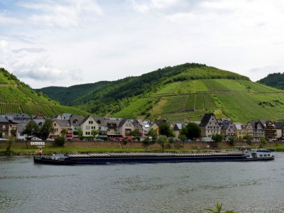 Sincero-2-12-07-2016-Ediger.jpg