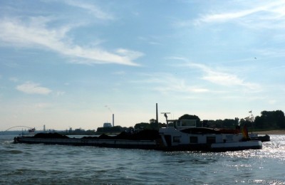 Heinrich-5-21-09-2015-d.jpg (50.85 Kio) Vu 1477 fois Heinrich-5-21-09-2015-d.jpg