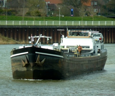 Zwaluw-2-30-03-2016-sluis-Lith.jpg