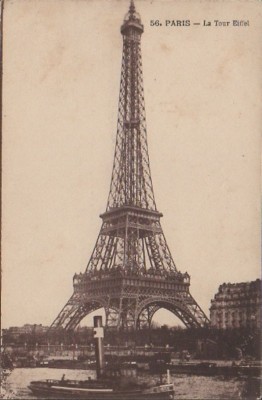 Rouge-Gorge - 2.jpg (109.54 Kio) Vu 5239 fois Rouge-Gorge - 2.jpg