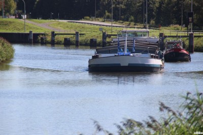 IMG_2354.JPG (135.15 Kio) Vu 1439 fois IMG_2354.JPG