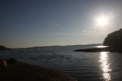 005.JPG (111.79 Kio) Vu 2319 fois 005.JPG