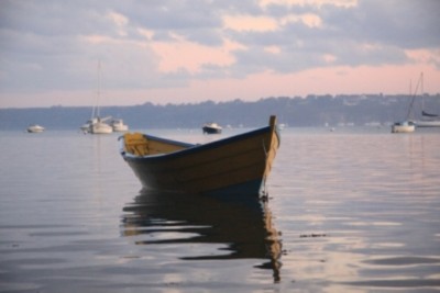 009.JPG (126.38 Kio) Vu 2319 fois 009.JPG