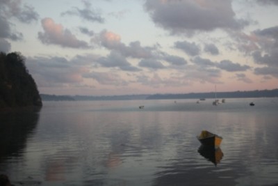 026.JPG (121.55 Kio) Vu 2456 fois 026.JPG