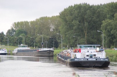 IMG_2488.JPG (128.02 Kio) Vu 3482 fois IMG_2488.JPG