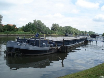 Arnica 08.JPG (120.88 Kio) Vu 1713 fois Arnica 08.JPG