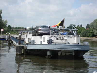 Arnica 07.JPG (130.79 Kio) Vu 1772 fois Arnica 07.JPG