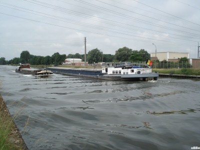 Arnica 05.JPG (121.61 Kio) Vu 1772 fois Arnica 05.JPG