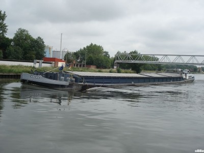 Arnica 03.JPG (102.28 Kio) Vu 1713 fois Arnica 03.JPG