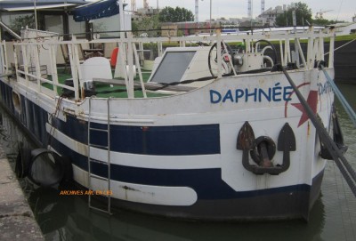 Daphnee .JPG