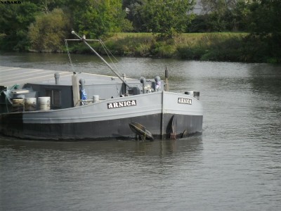 SAM_4919.JPG (144.26 Kio) Vu 1765 fois SAM_4919.JPG