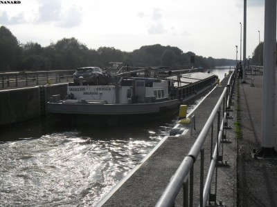 SAM_4927.JPG (150.58 Kio) Vu 1765 fois SAM_4927.JPG