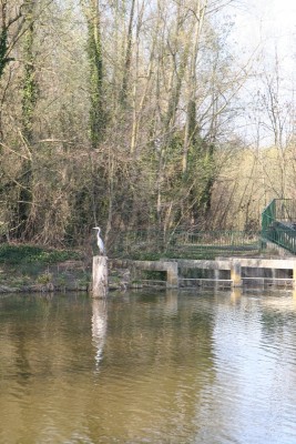 001.JPG (330.53 Kio) Vu 3370 fois 001.JPG