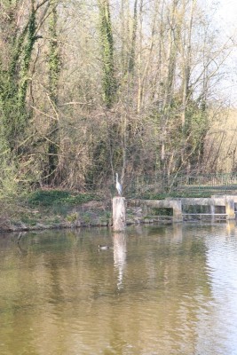 002.JPG (336.14 Kio) Vu 3370 fois 002.JPG