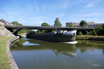 BEJA - Smeermaas - 7 septembre 2016 (2).JPG