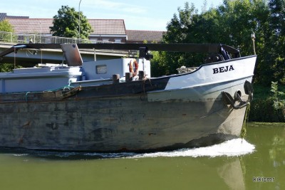 BEJA - Smeermaas - 7 septembre 2016 (3).JPG