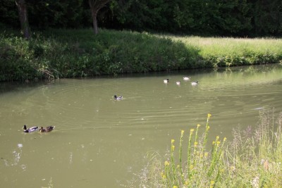 025.JPG (245.77 Kio) Vu 787 fois 025.JPG