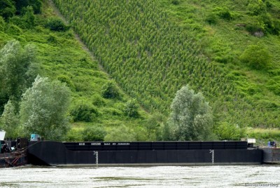 Edlena-Baris-1-Ed-28-10-30-06-2016.jpg (279.73 Kio) Vu 2098 fois Edlena-Baris-1-Ed-28-10-30-06-2016.jpg