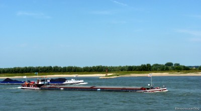 Wildkatz-3-27-08-2016-Gendt.jpg (105.85 Kio) Vu 1272 fois Wildkatz-3-27-08-2016-Gendt.jpg