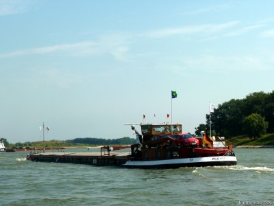 Wildkatz-1-27-08-2016-Gendt.jpg (139.67 Kio) Vu 1272 fois Wildkatz-1-27-08-2016-Gendt.jpg