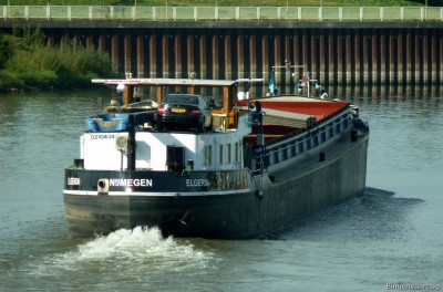 Elgeria-4-26-09-2016-sluis-Lith.jpg