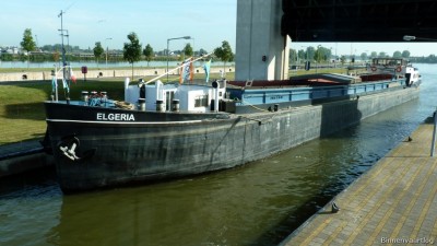 Elgeria-2-26-09-2016-sluis-Lith.jpg