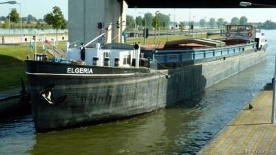 Elgeria-1-26-09-2016-sluis-Lith.jpg