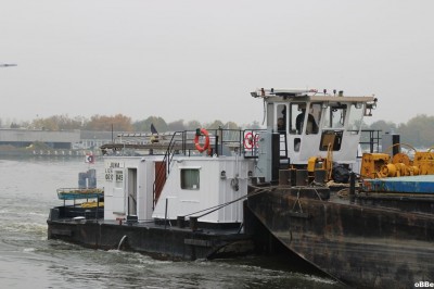 IMG_2919.JPG (103.14 Kio) Vu 5084 fois IMG_2919.JPG