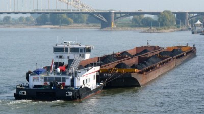 Patrijs-9-26-10-2016-Nijmegen (2).jpg
