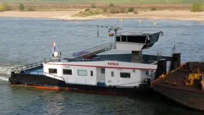 Patrijs-5-26-10-2016-Nijmegen (2).jpg