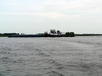 maasstroom-8-3-09-08-2009.jpg