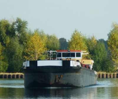 11.jpg (67.98 Kio) Vu 1309 fois 11.jpg