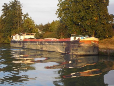 PICT9478MICKAELI.jpg (177.23 Kio) Vu 5057 fois PICT9478MICKAELI.jpg