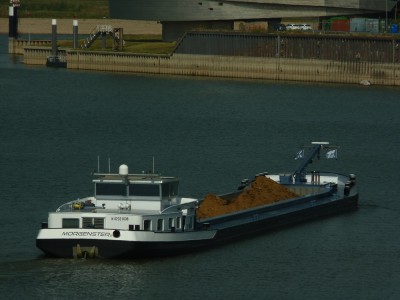 Morgenster-1-06-09-2016-Sluis-Weurt.jpg