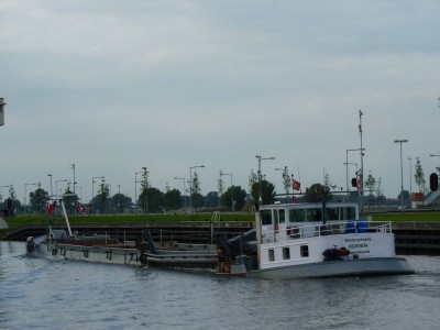 westerschelde-8-15-09-2011.jpg