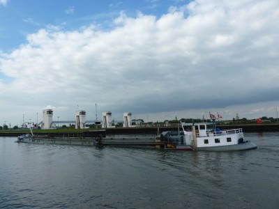 westerschelde-6-15-09-2011.jpg