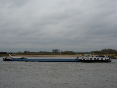 zeldenrust-4-18-11-2009-druten-waal.jpg
