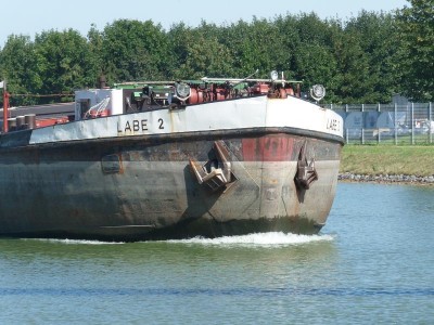 Labe 2 Bug.jpg