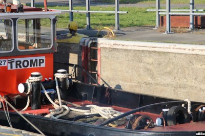 IMG_3169.JPG (161.07 Kio) Vu 1731 fois IMG_3169.JPG