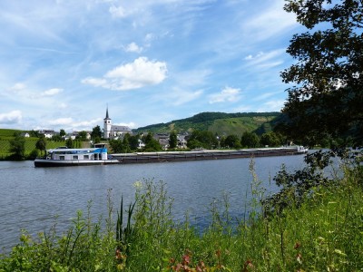 Heavenly-4-29-06-2016-Wintrich (2).JPG (409.91 Kio) Vu 1074 fois Heavenly-4-29-06-2016-Wintrich (2).JPG