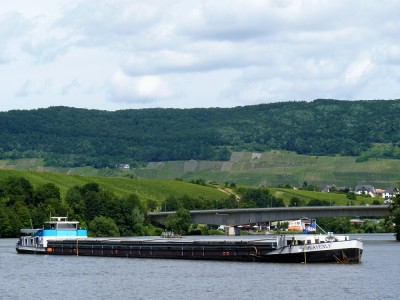 Heavenly-2-29-06-2016-Wintrich (2).JPG (302.02 Kio) Vu 1074 fois Heavenly-2-29-06-2016-Wintrich (2).JPG