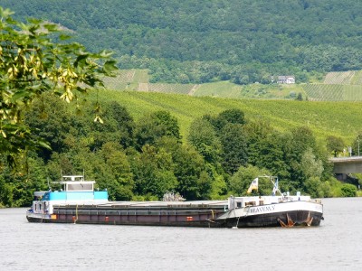 Heavenly-1-29-06-2016-Wintrich (2).JPG (482.74 Kio) Vu 1074 fois Heavenly-1-29-06-2016-Wintrich (2).JPG