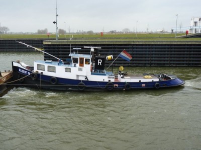 albert-r-1-10-03-2011.jpg